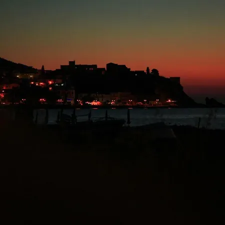 Gold Sunset توسا